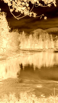 Sepia + Negatyw