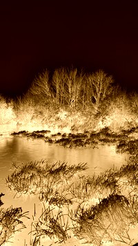 Sepia + Negatyw