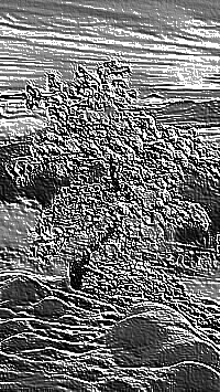 Skamielina