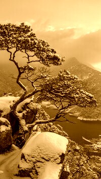 Sepia