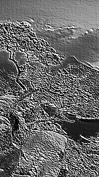 Skamielina