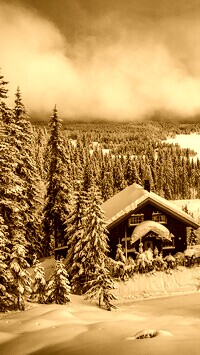 Sepia