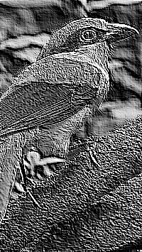 Skamielina