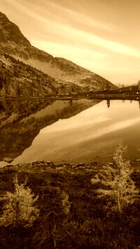 Sepia