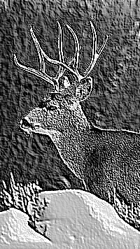 Skamielina