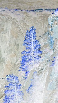 Negatyw