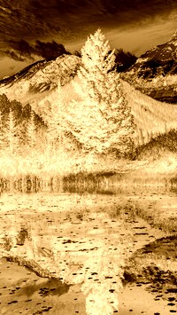 Sepia + Negatyw