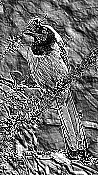 Skamielina