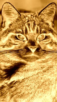 Sepia + Negatyw