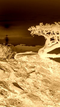 Sepia + Negatyw