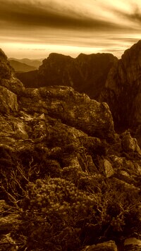 Sepia