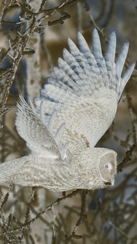 Negatyw