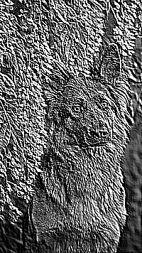 Skamielina