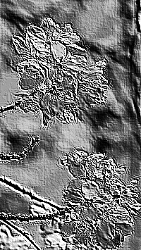 Skamielina