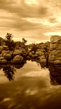 Sepia