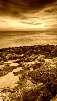 Sepia