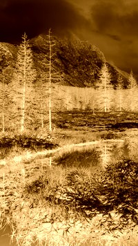 Sepia + Negatyw