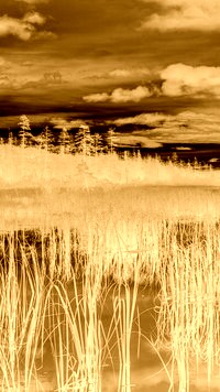 Sepia + Negatyw