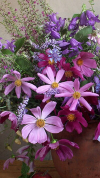 Oryginalny obrazek