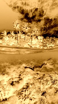 Sepia + Negatyw