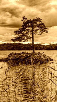 Sepia