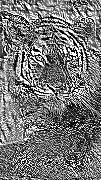 Skamielina