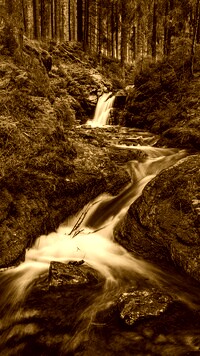 Sepia