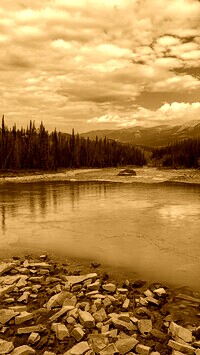 Sepia