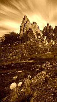 Sepia