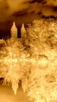 Sepia + Negatyw