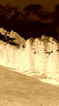 Sepia + Negatyw