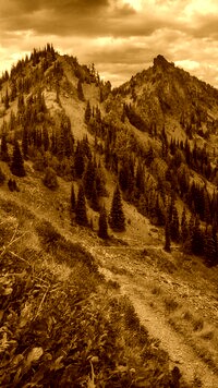 Sepia