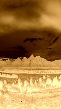 Sepia + Negatyw