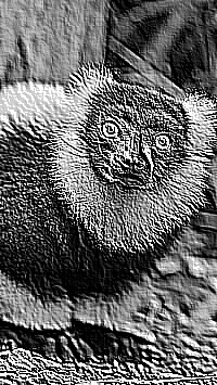 Skamielina