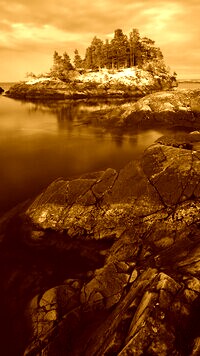 Sepia