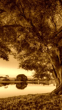 Sepia