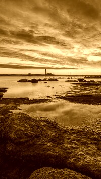 Sepia