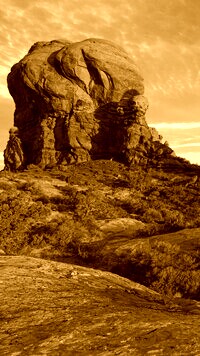Sepia
