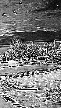 Skamielina