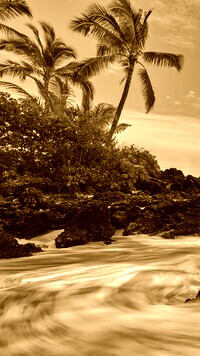 Sepia