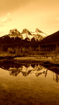 Sepia