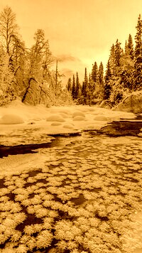Sepia