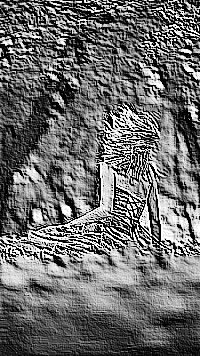 Skamielina