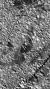 Skamielina
