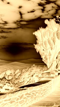 Sepia + Negatyw