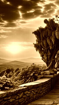 Sepia