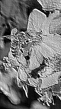 Skamielina