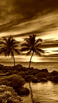 Sepia