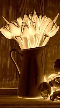 Sepia + Negatyw