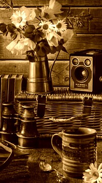 Sepia